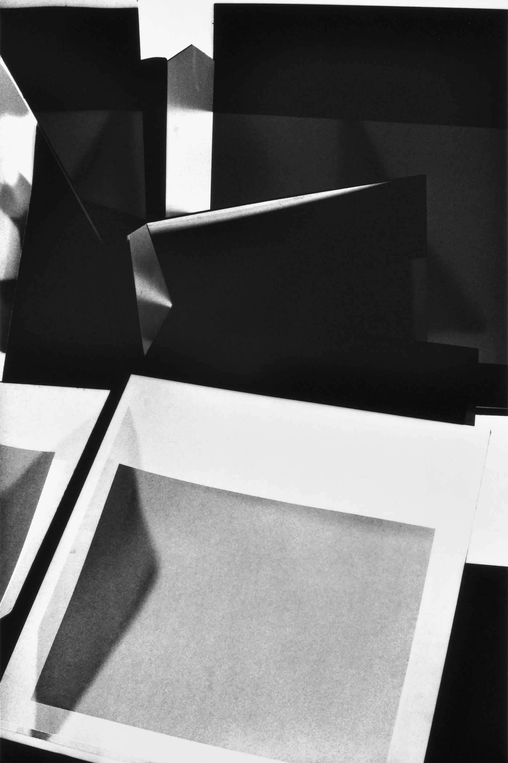 Copyright zora_jankovic_nf713_1_2018_silver_gelatine_print_on_baryt_26.8x17.8cm