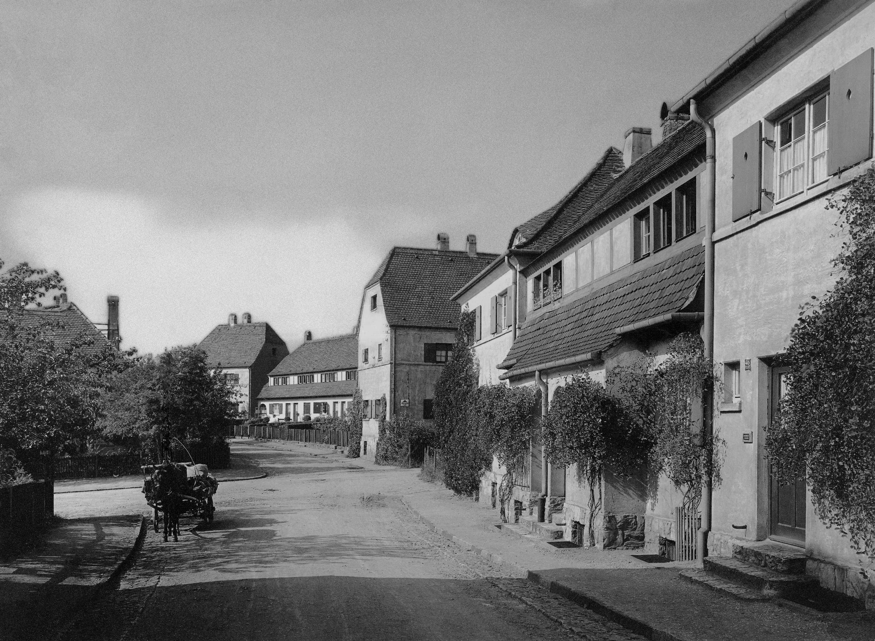 Gartenstadt Hellerau, Blick vom Schenkenberg auf den Talkenberg